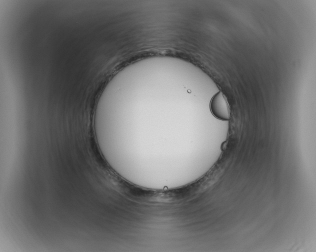 X0000111680656200907171505
