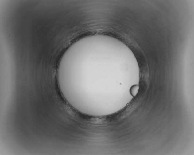 X0000111680660200907171505