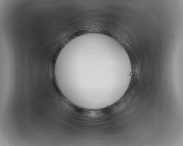X0000111680663200907171505