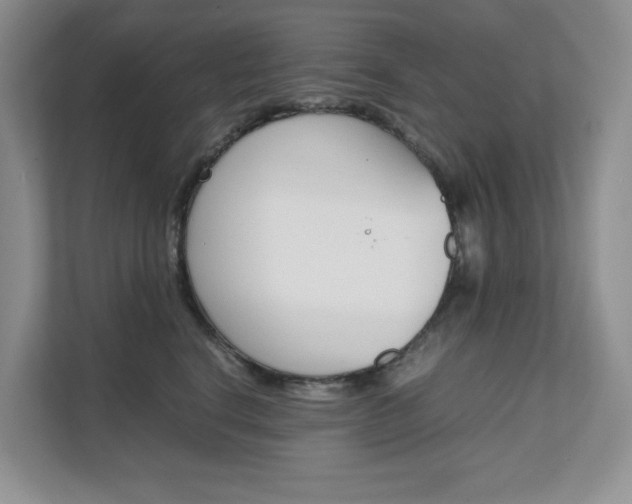 X0000111680664200907171505