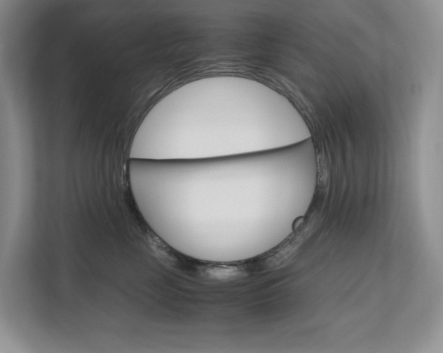 X0000111680669200907171505