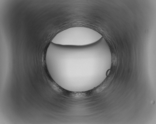 X0000111680670200907171506