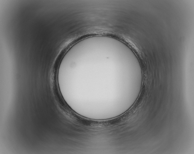 X0000111680679200907171505