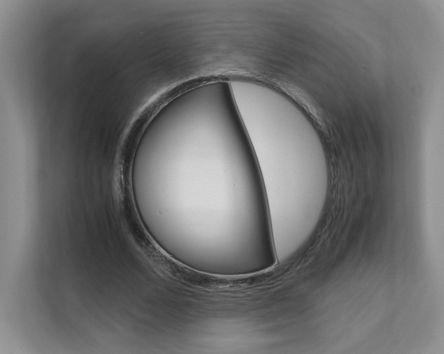 X0000111680680200907171505