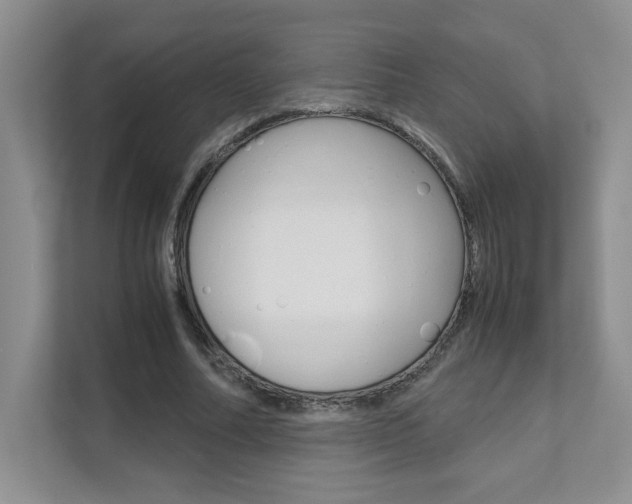 X0000111680682200907171505