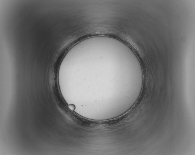 X0000111680683200907171505