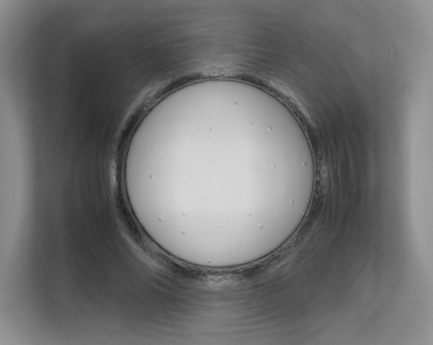 X0000111680686200907171505