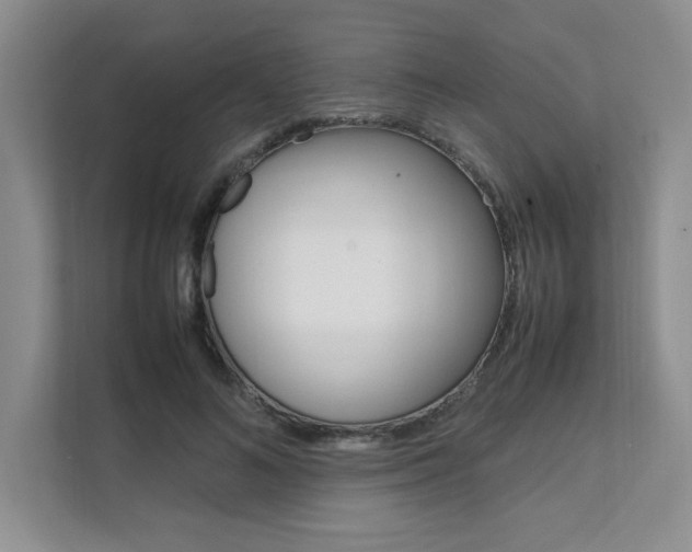 X0000111680692200907171505