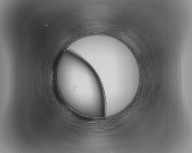 X0000111680693200907171505