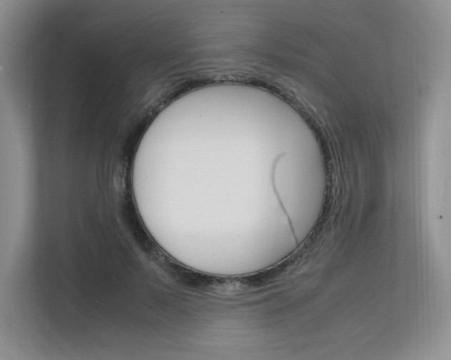X0000111680695200907171505