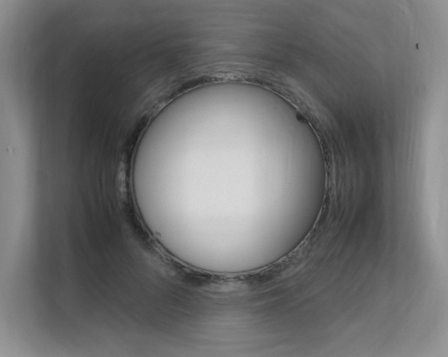 X0000111680696200907171505