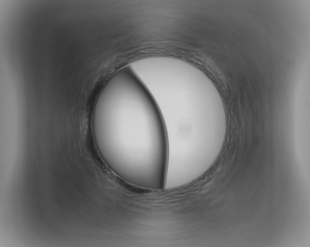 X0000111680697200907171505