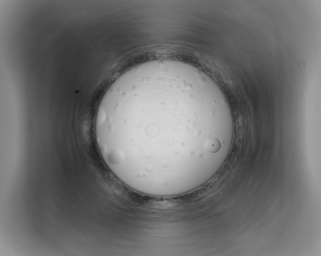 X0000111680698200907171505