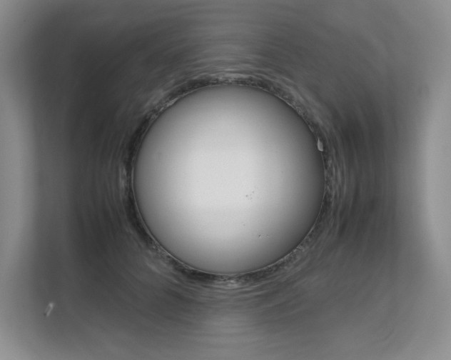 X0000111680704200907171505