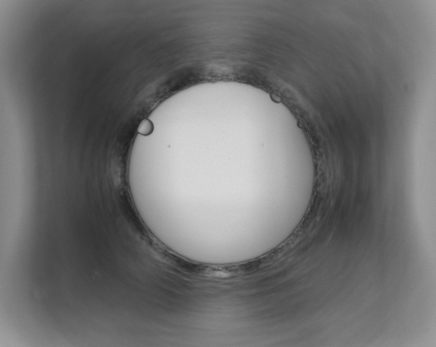 X0000111680706200907171504