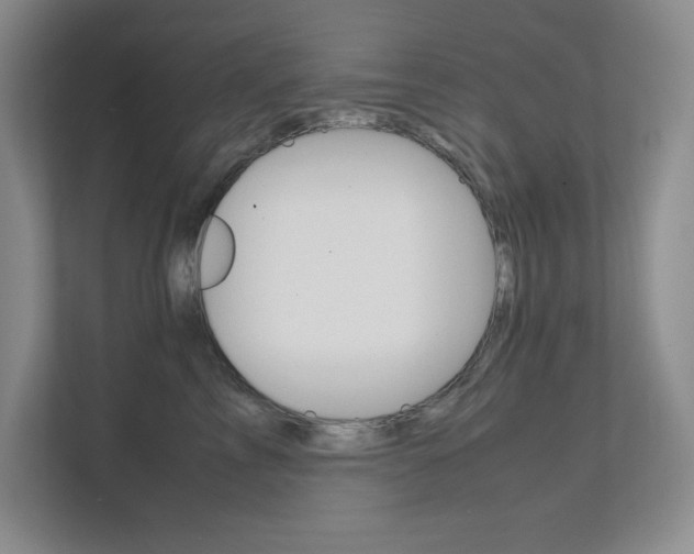 X0000111680713200907171504