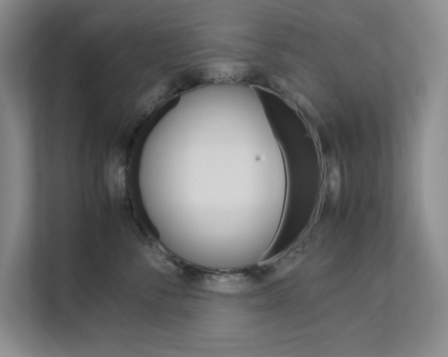 X0000111680716200907171504