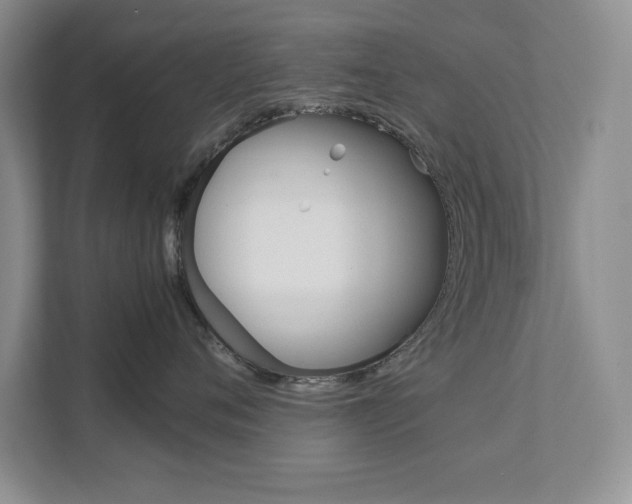 X0000111680720200907171504