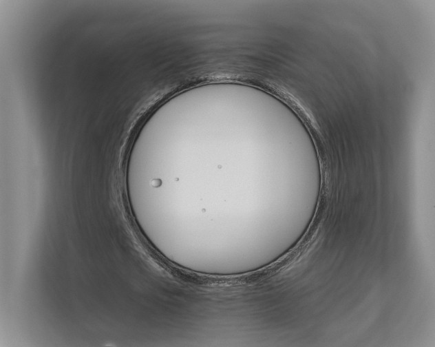 X0000111680721200907171504