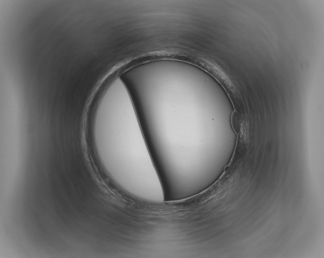 X0000111680724200907171504