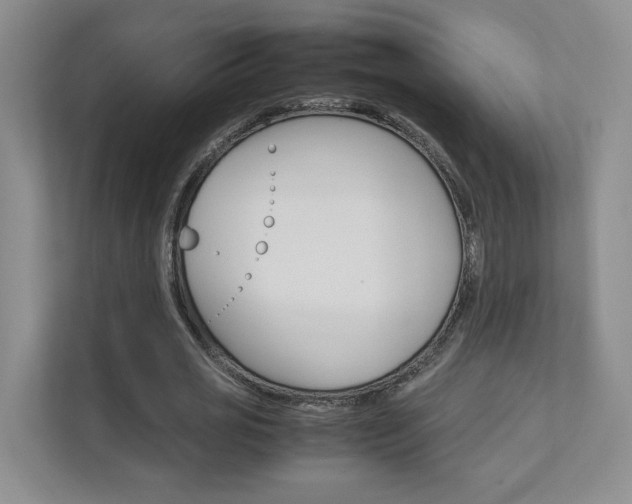 X0000111680725200907171504