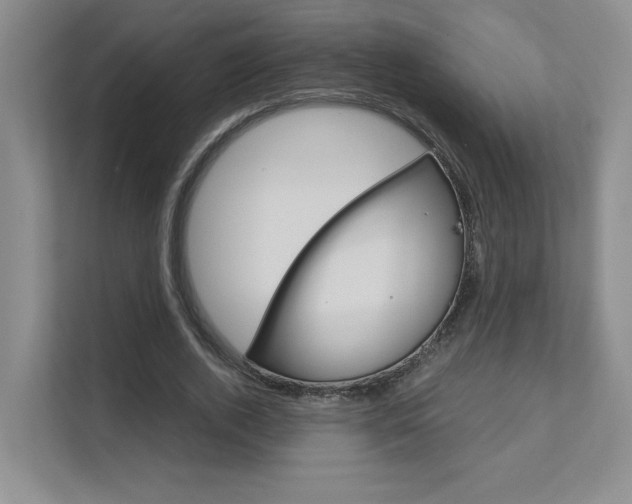 X0000111680728200907171504