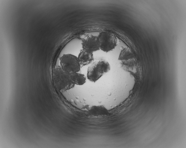 X0000111680729200907171504