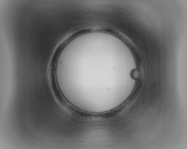 X0000111680730200907171504