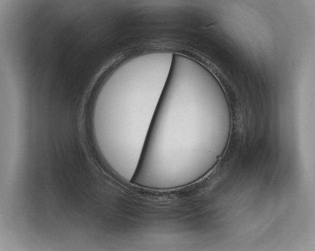 X0000111680731200907171504