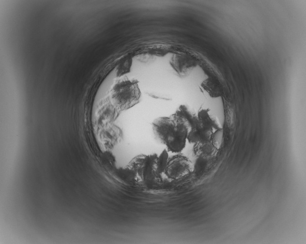X0000111680733200907171504