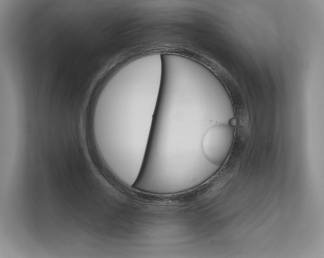 X0000111680734200907171504