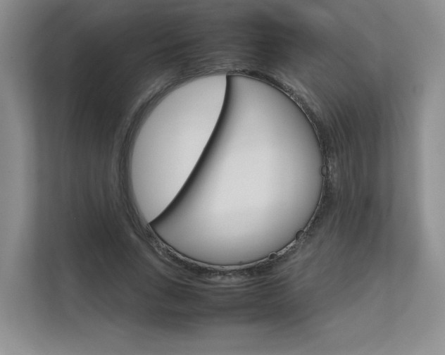 X0000111680735200907171504