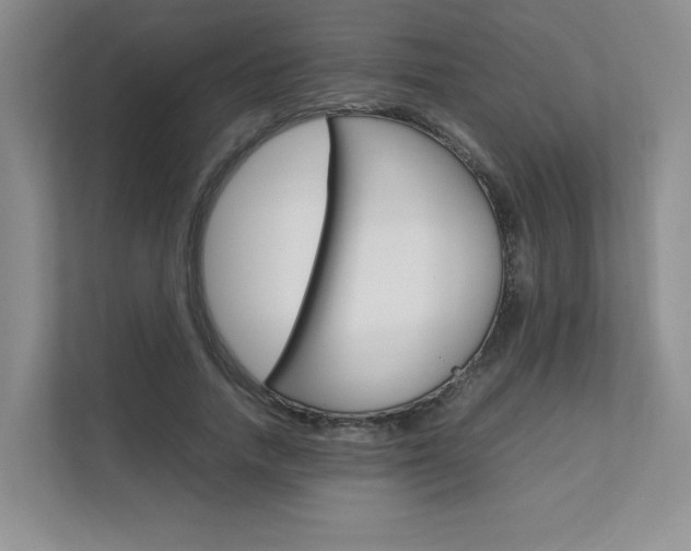 X0000111680738200907171504