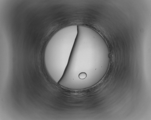 X0000111680739200907171504