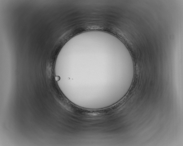 X0000111680741200907171504