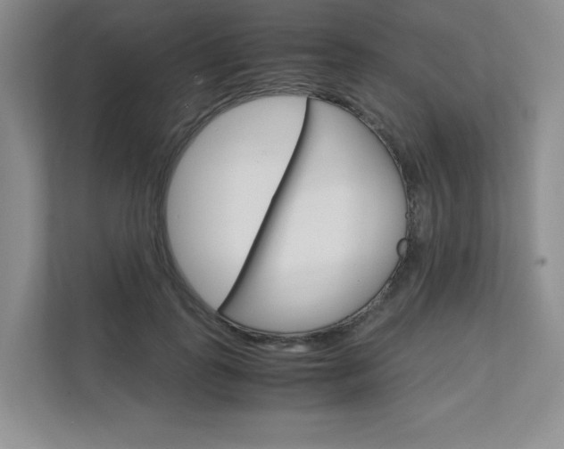 X0000111680747200907171504