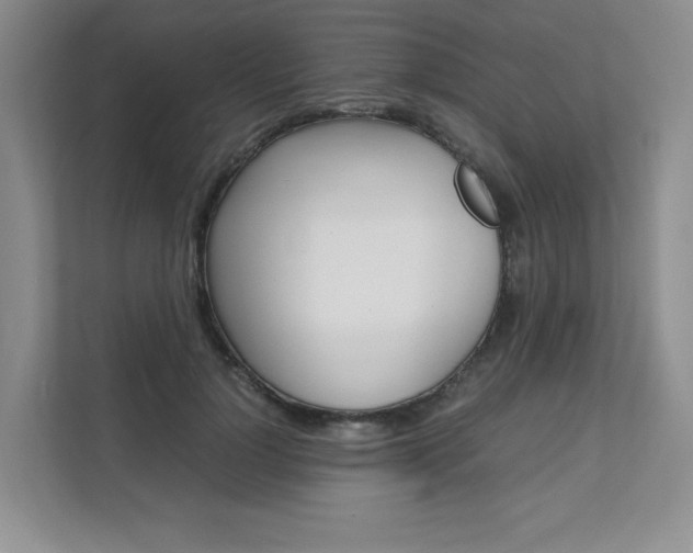 X0000111680748200907171504