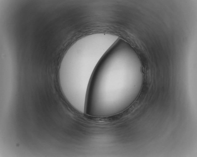 X0000111680750200907171504