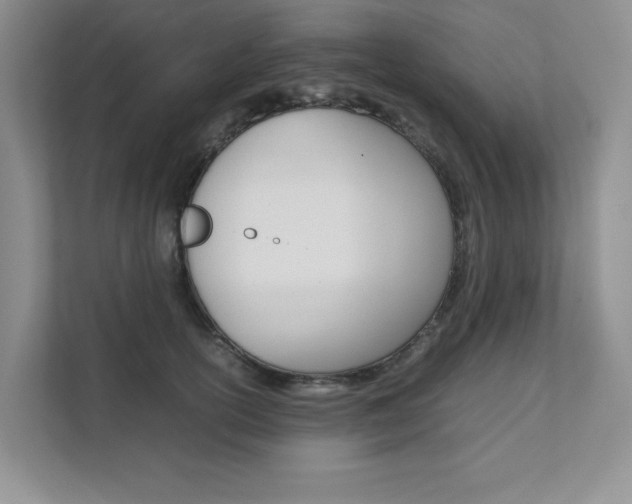 X0000111680754200907171504