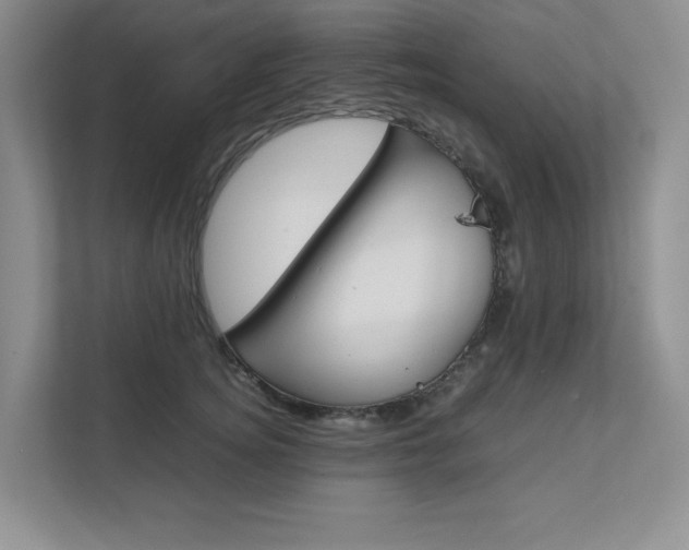 X0000111680756200907171504