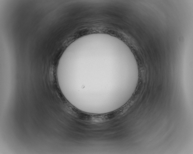 X0000111680757200907171504