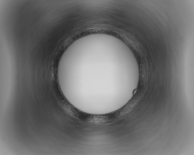 X0000111680758200907171504