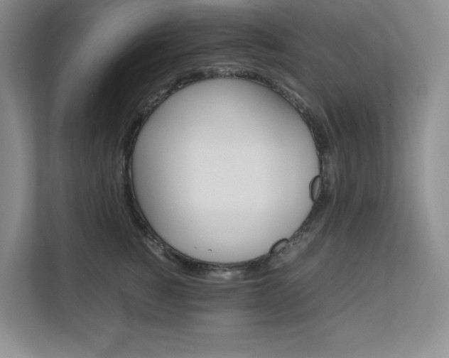 X0000111680760200907171504