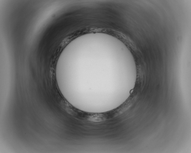X0000111680761200907171504