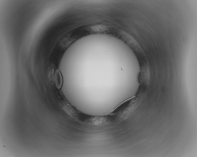 X0000111680762200907171504