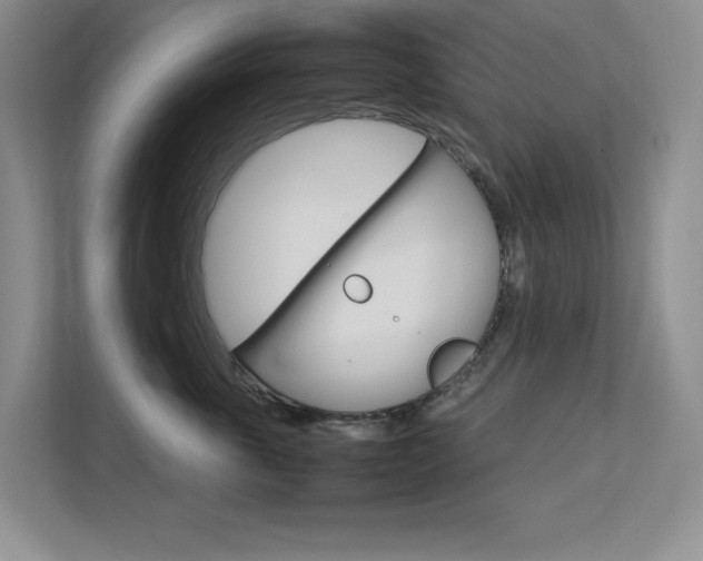 X0000111680763200907171504