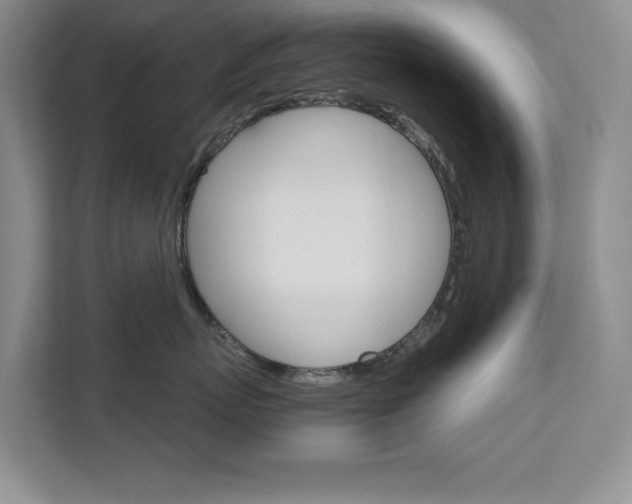X0000111680767200907171504