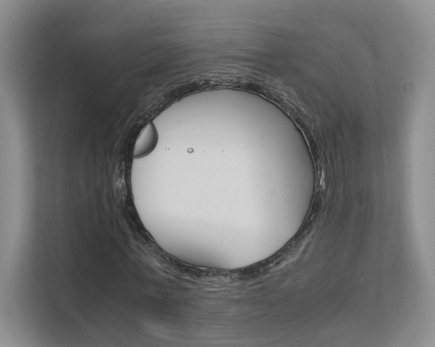 X0000111680771200907171504