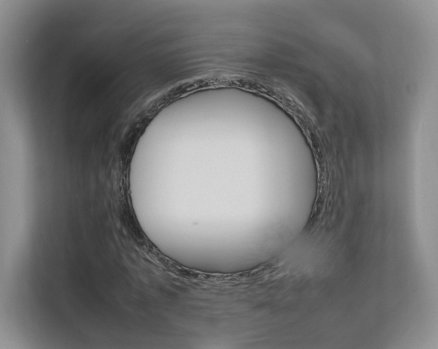 X0000111680773200907171504