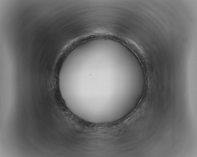 X0000111680776200907171504